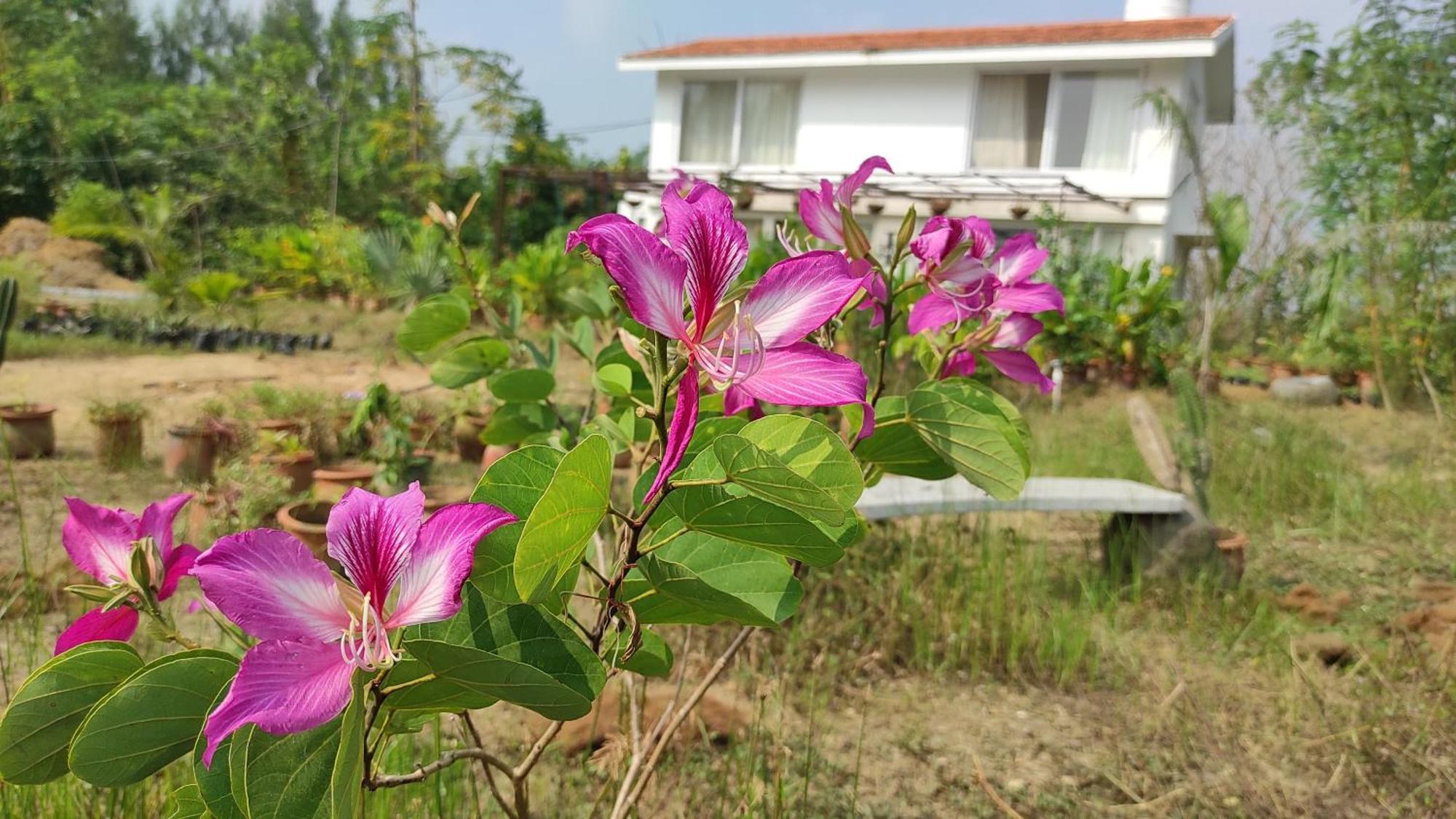 Vaksana Farm Stay Gudraippattu Exterior photo