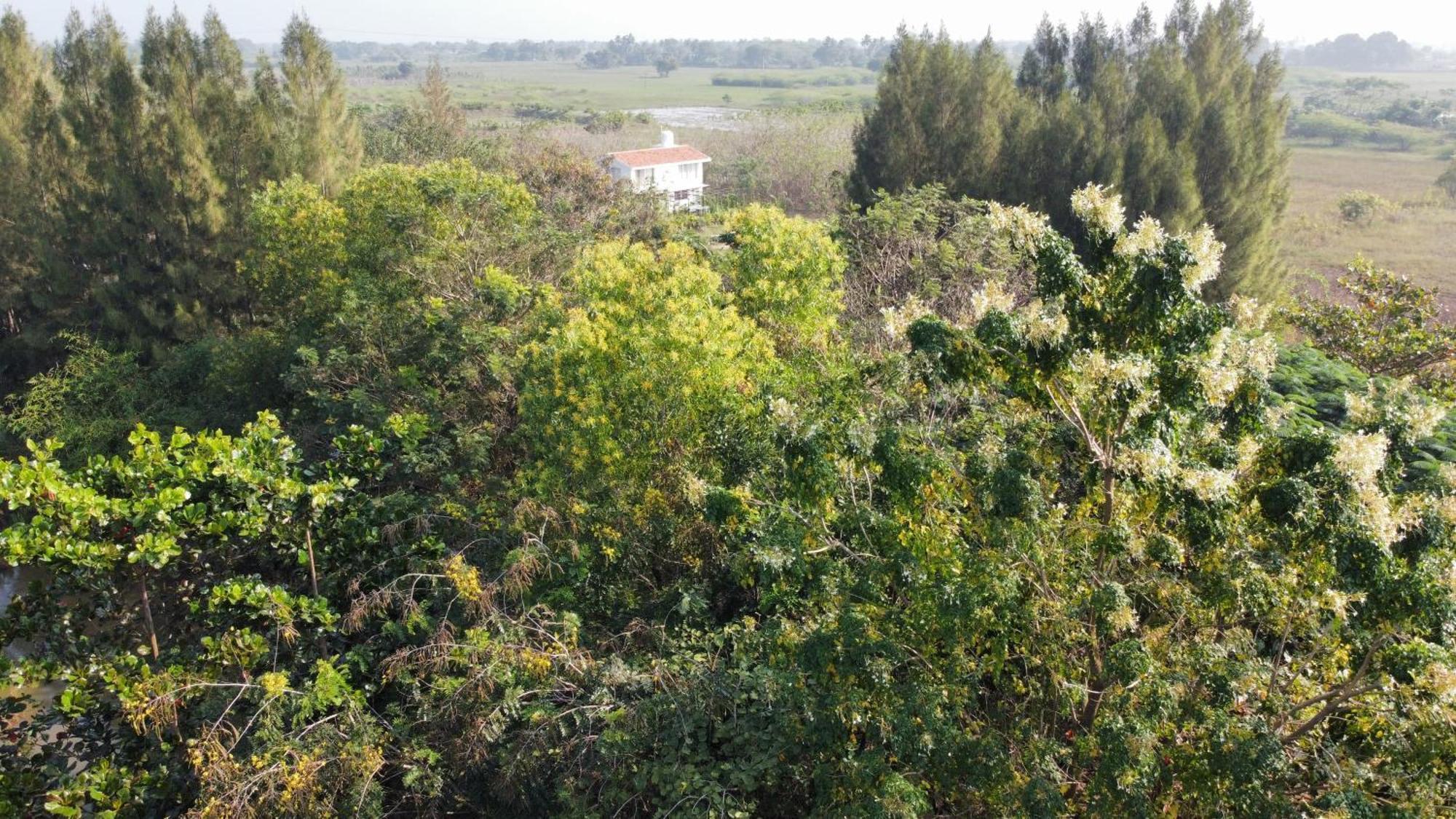 Vaksana Farm Stay Gudraippattu Exterior photo