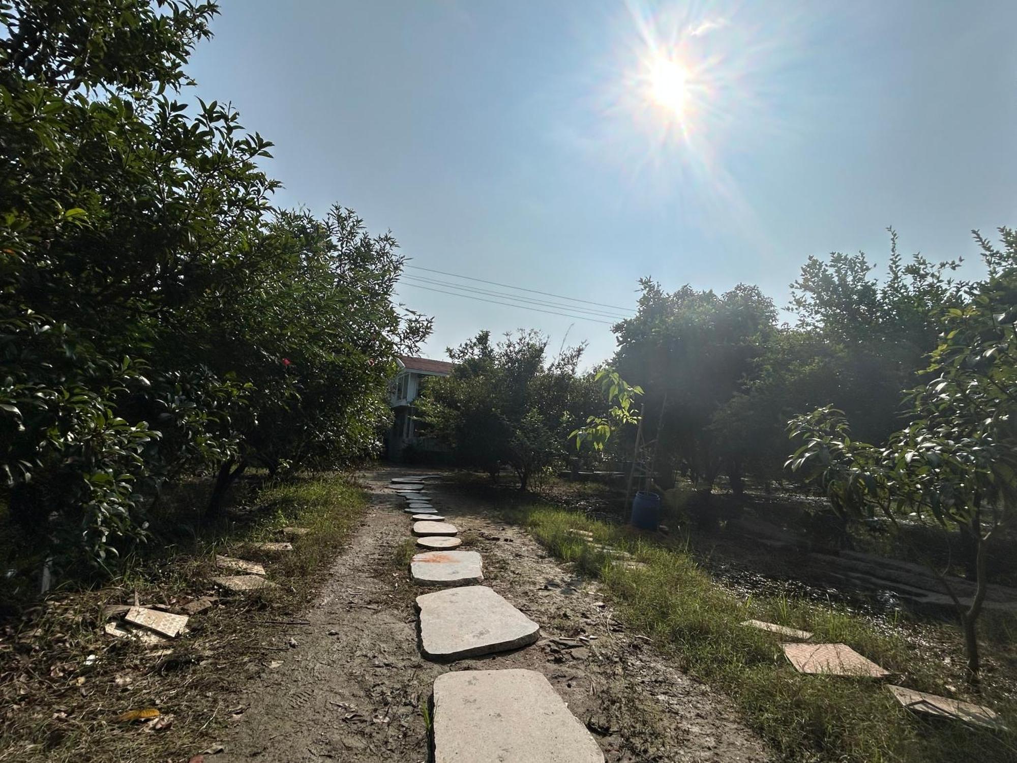 Vaksana Farm Stay Gudraippattu Exterior photo